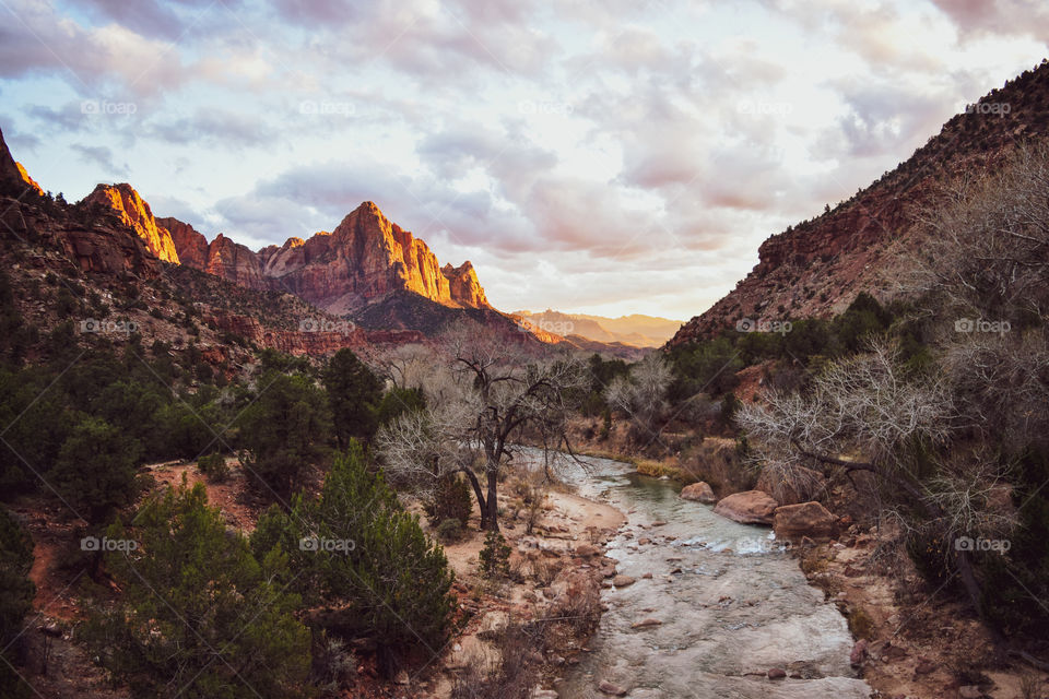 The golden hour in Zion
