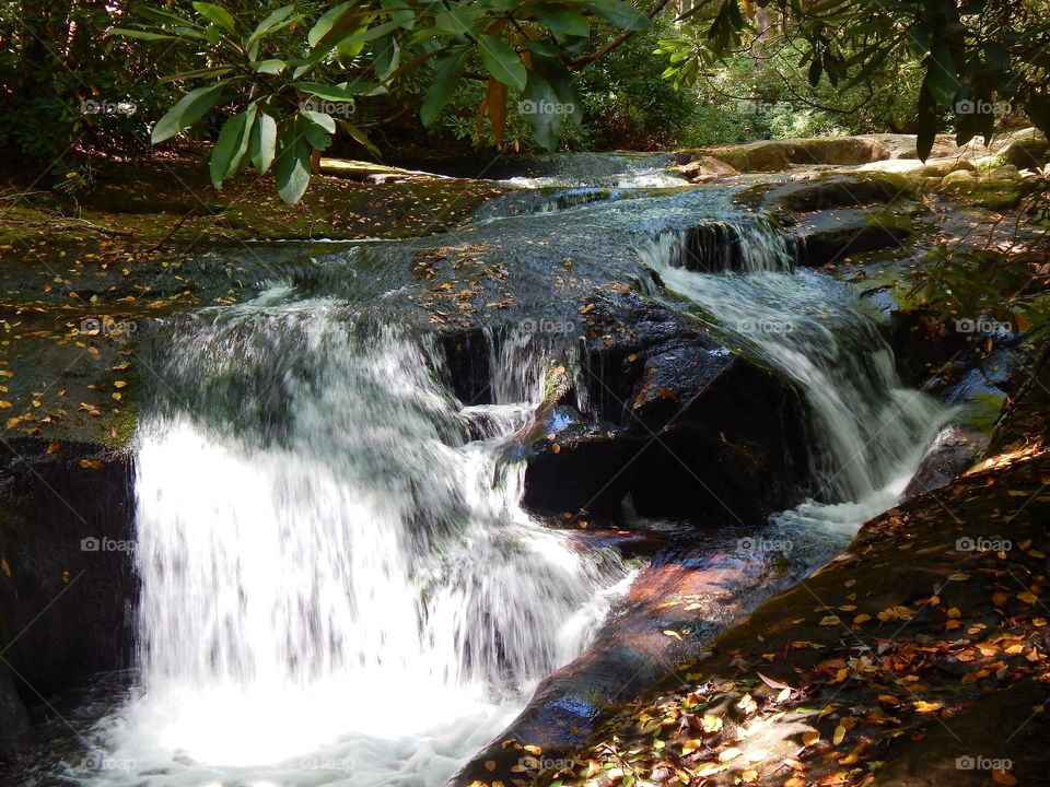 small waterfall and shoals along the trail to Hemlock falls at Moccasin creek state park, Georgia
