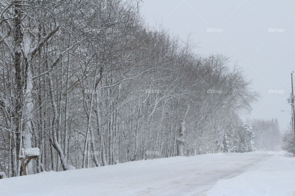 Snowy Maine Road