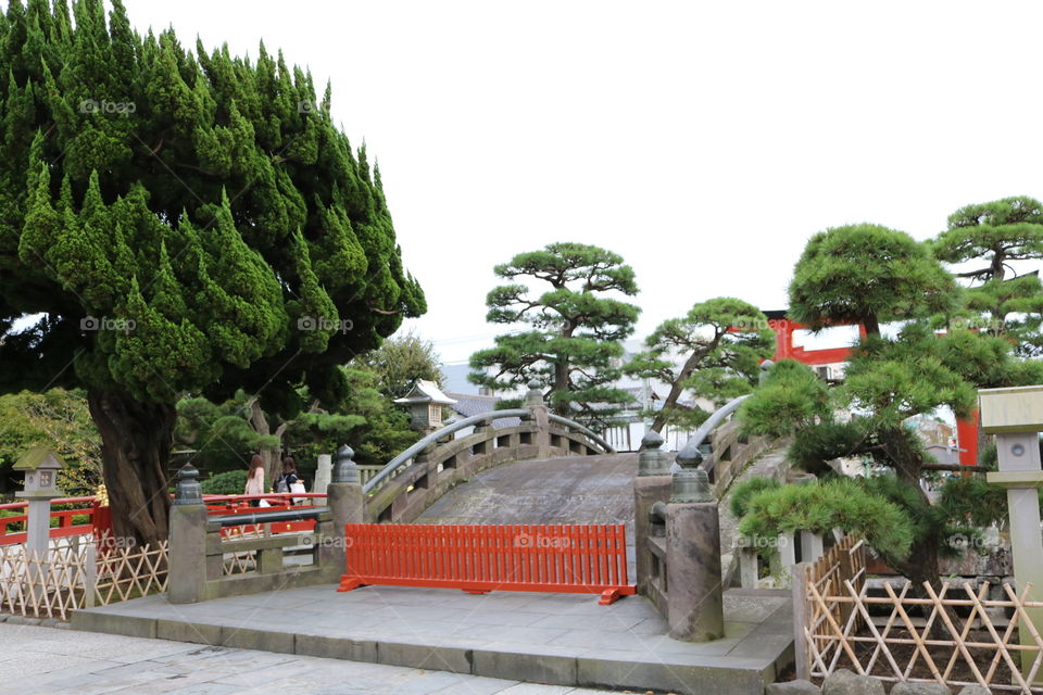 Tree, Park, Garden, Landscape, Architecture