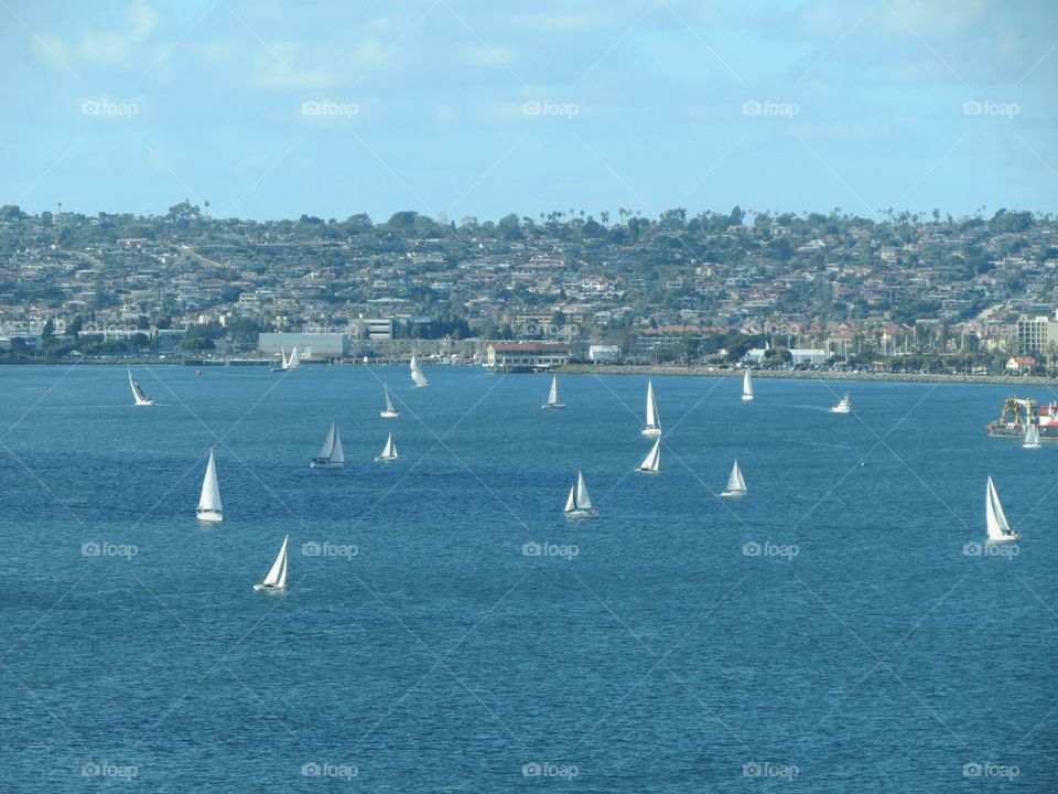 Sailboats on a Sunny Coastline.