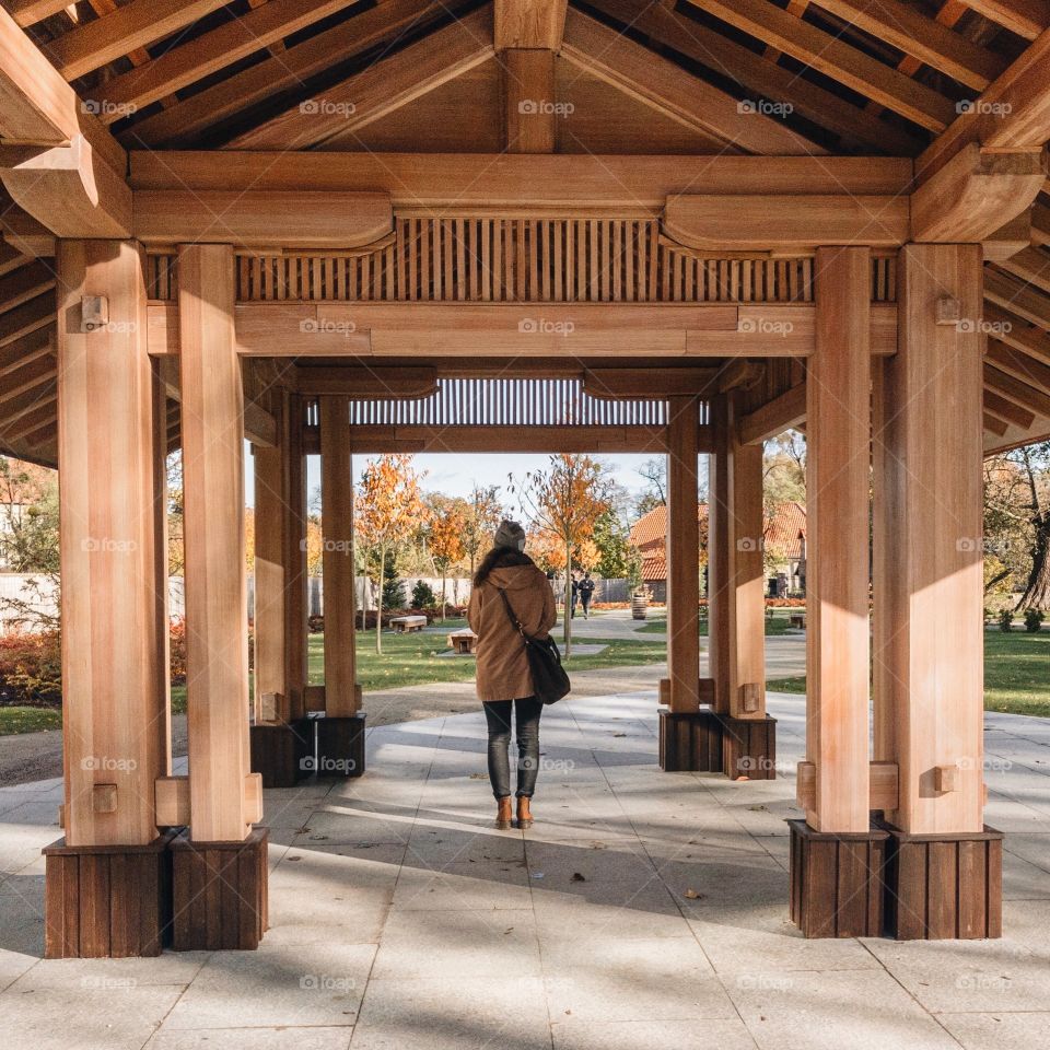 Japanese garden