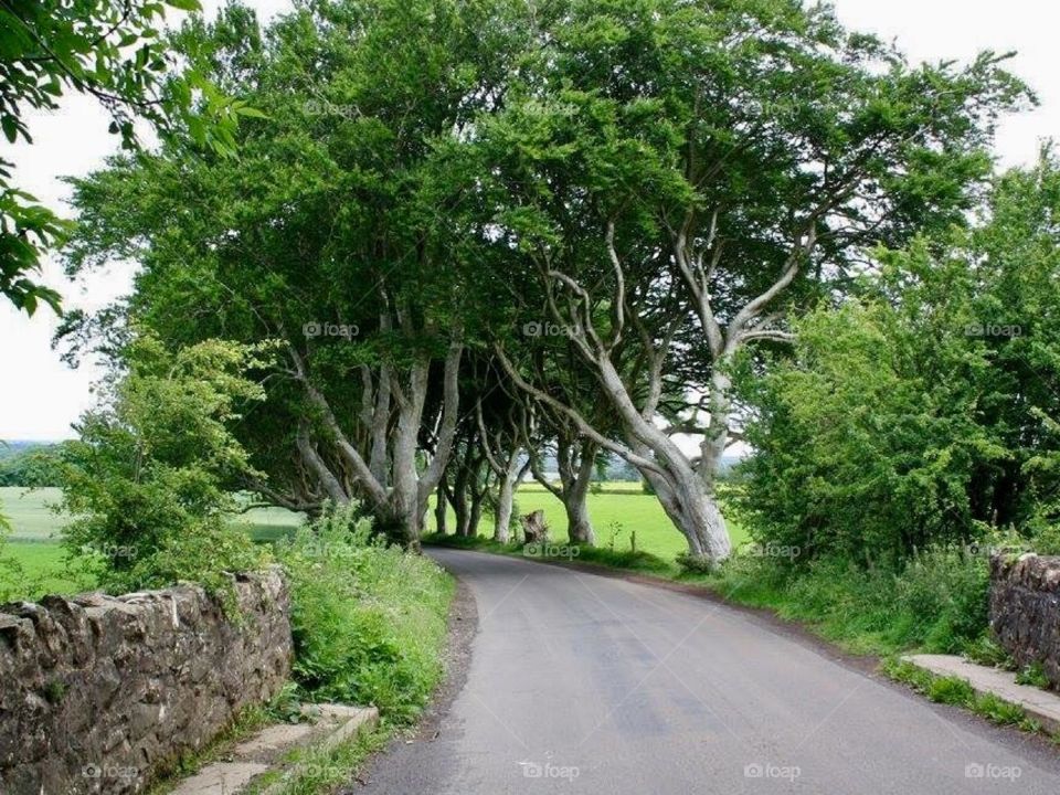 Scenic road in Ireland. 