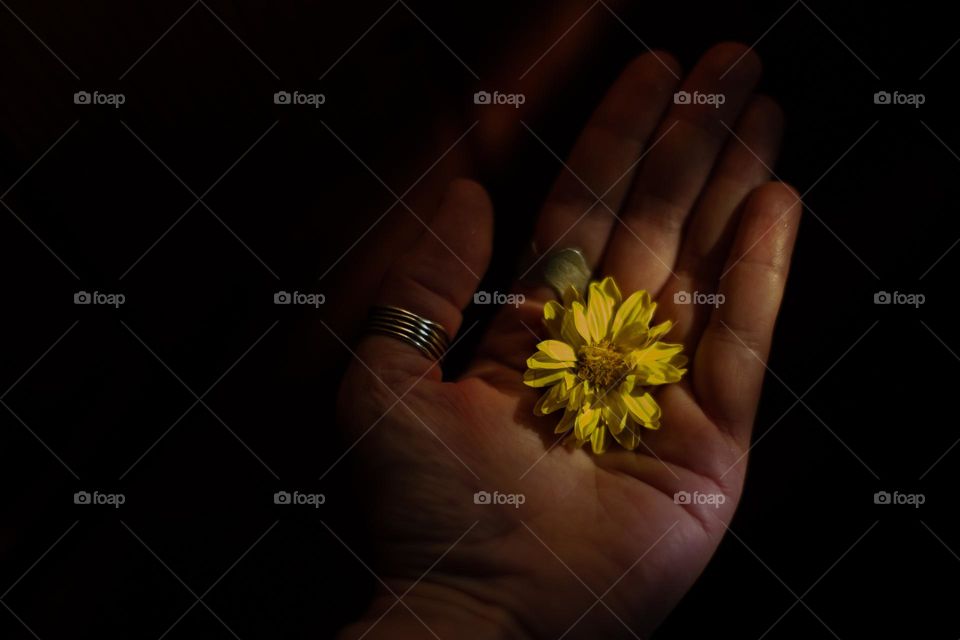 Holding a yellow flower in hand 