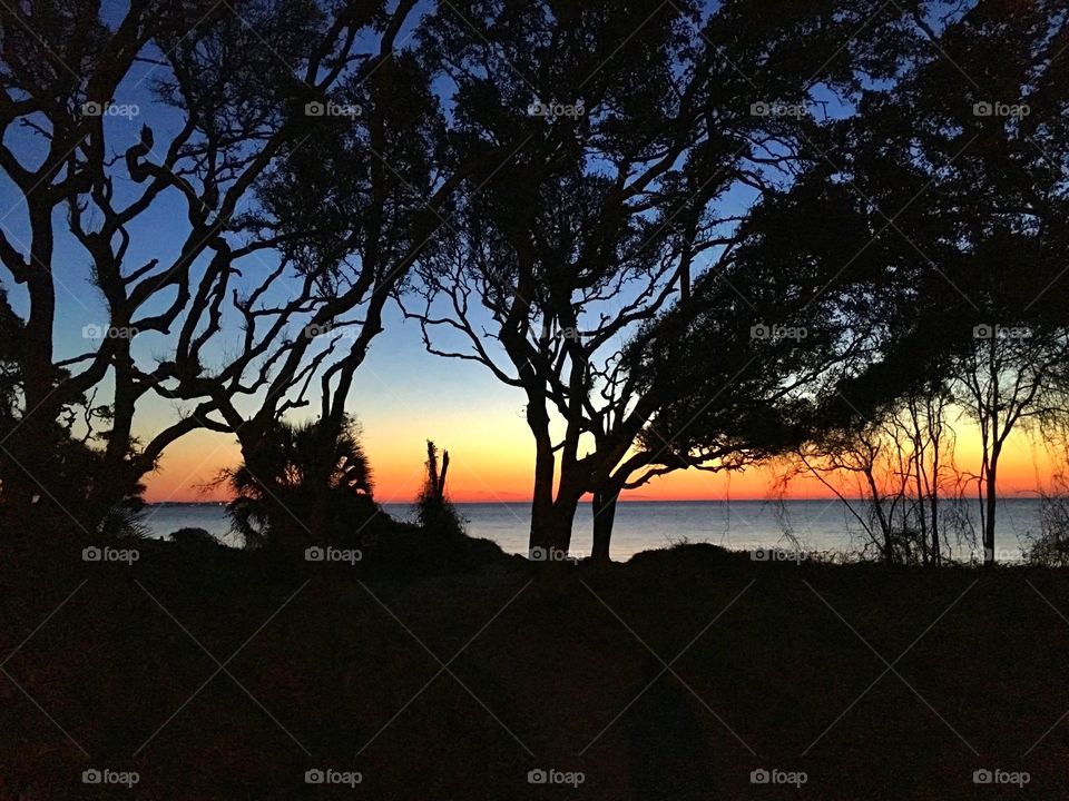 Tree, Backlit, Sunset, Landscape, Dawn