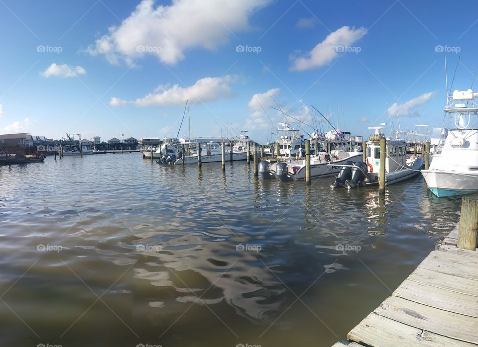 The Fisherman village of Venice Island,  Louisiana