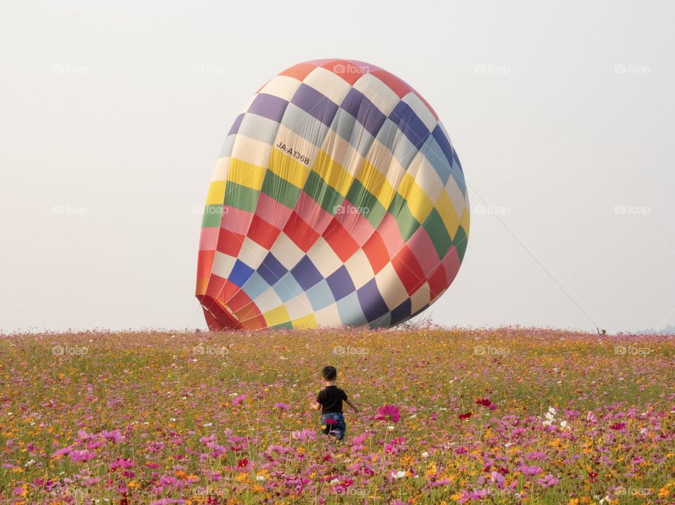 Ballon abd Boy in the flowers field