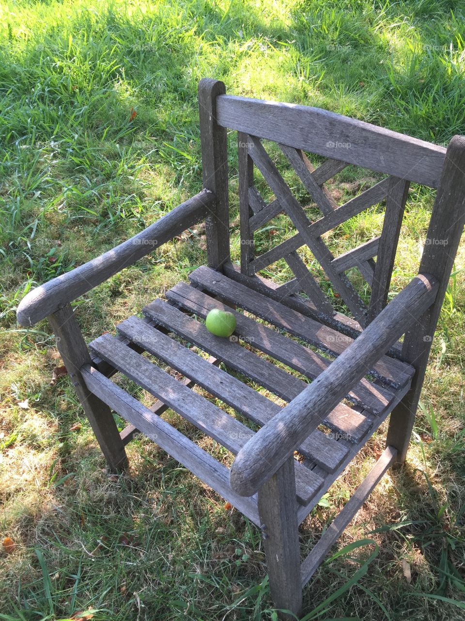 Empty chair with an apple under apple tree