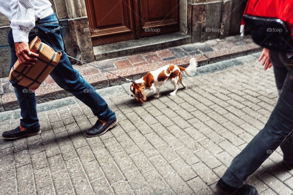 Man Carrying Package and Walking Dog