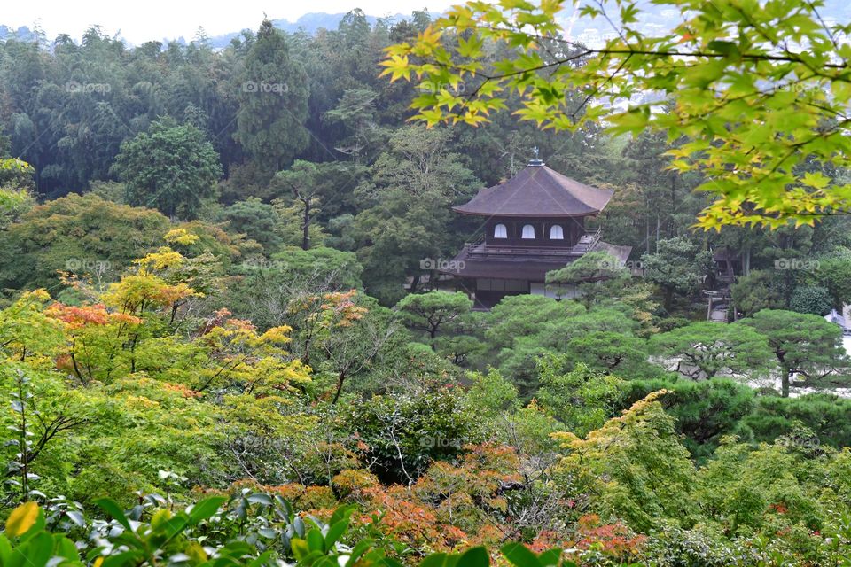 Beautiful Japanese landscapes