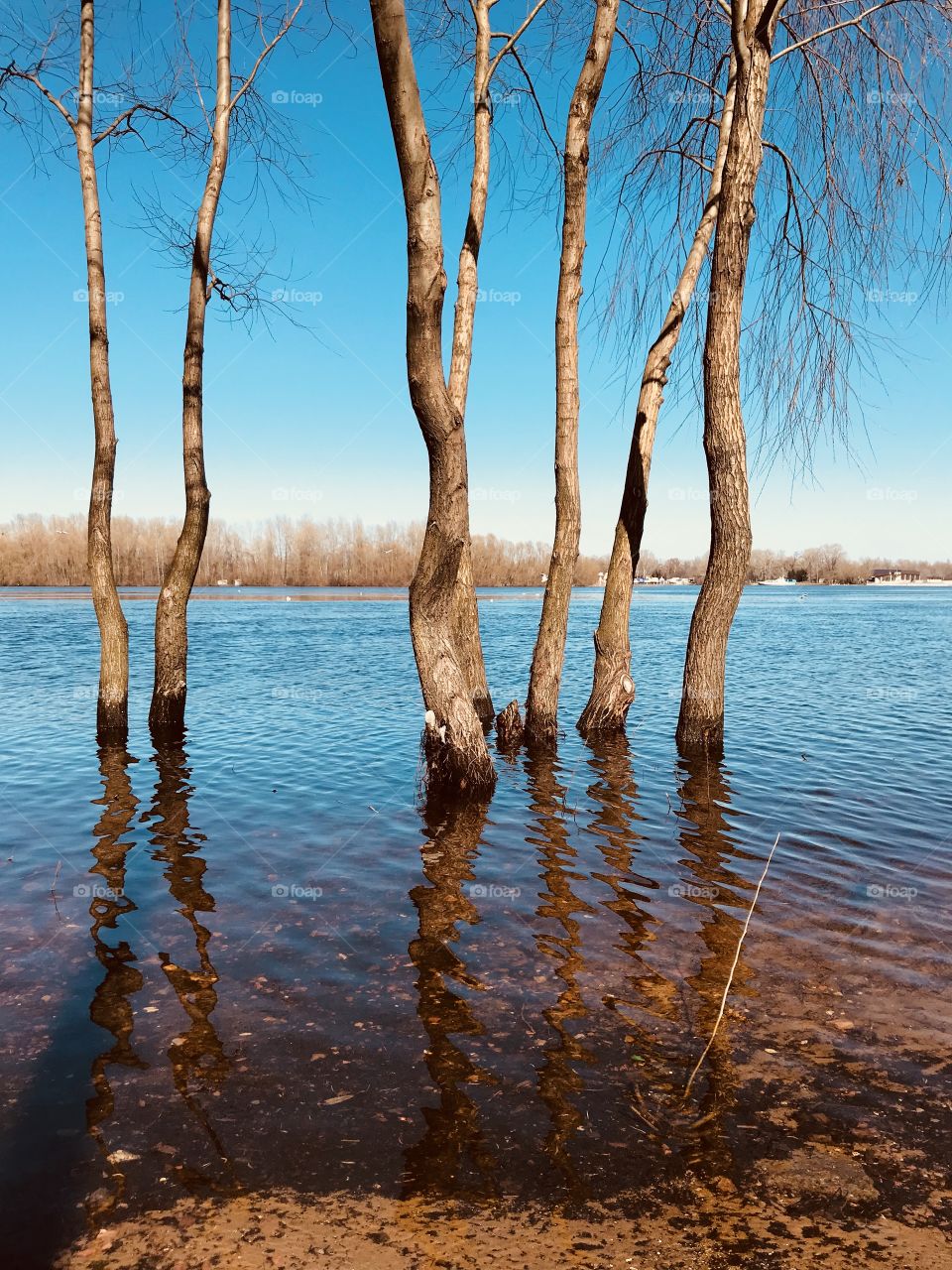 First sunny spring days 