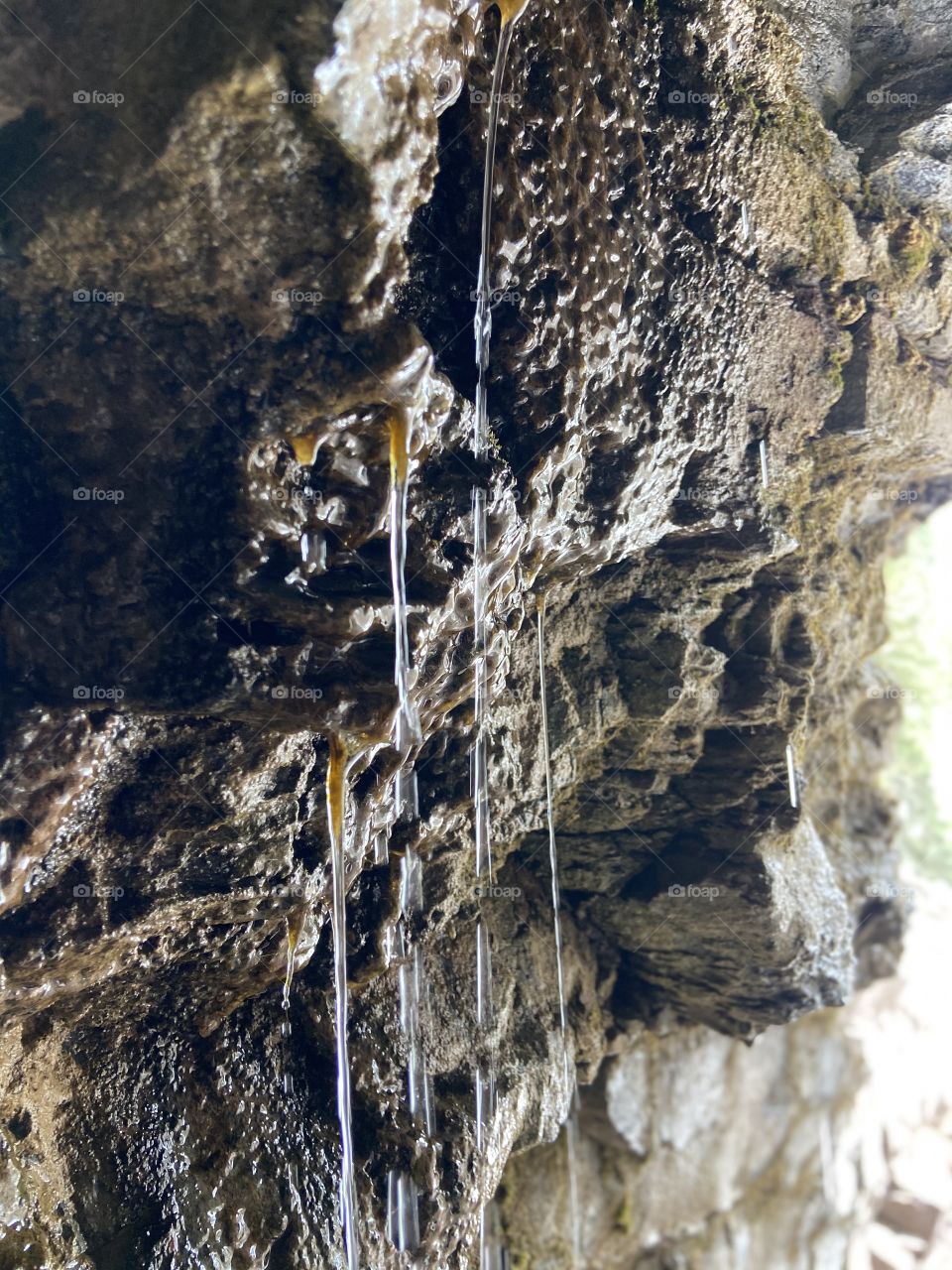 Dripping cave wall