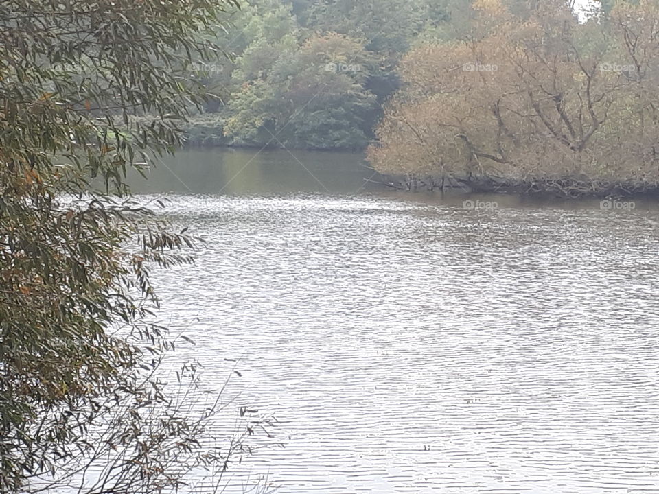 Water, Tree, Landscape, Winter, No Person