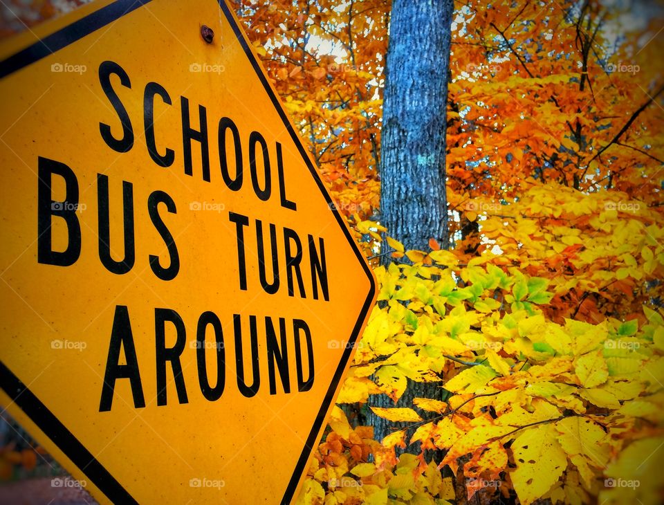 school bus turn around sign Yellow