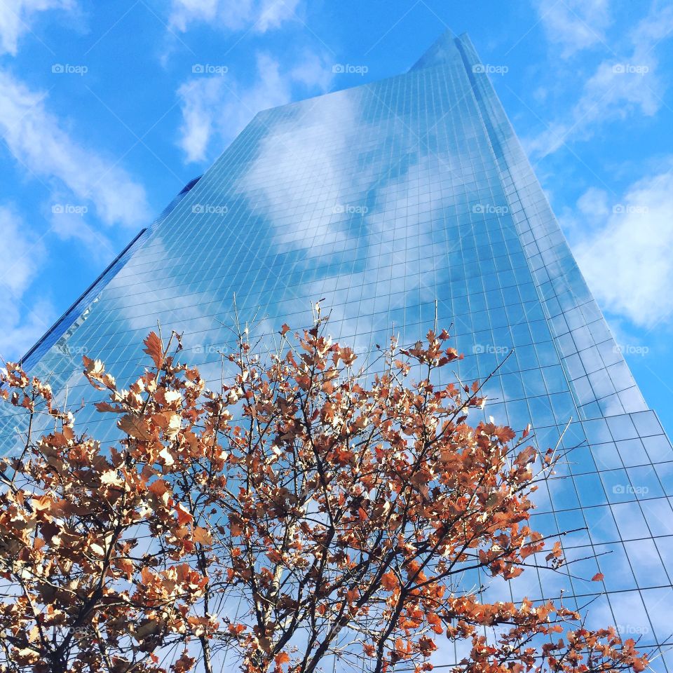 Cloud Camouflaged Skyscraper 
