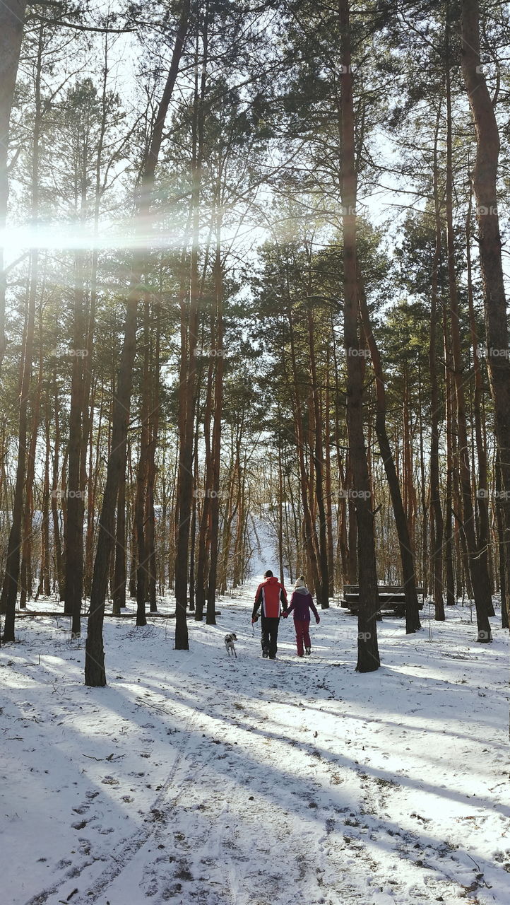 A couple walking a dog in snow covered forest