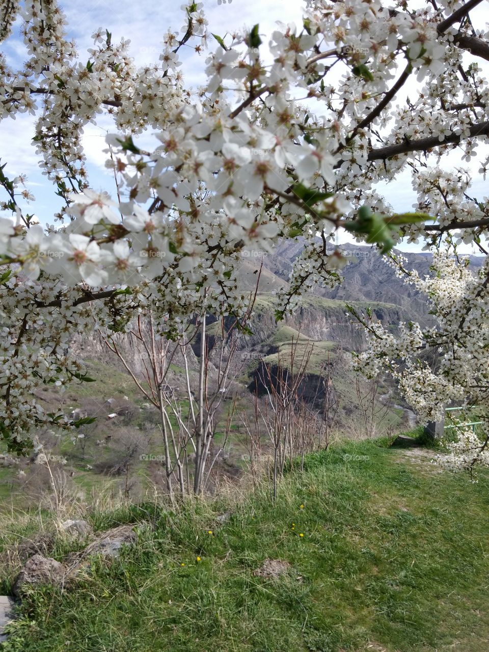 Azat river's canyon