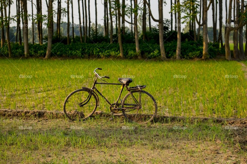 bicycle