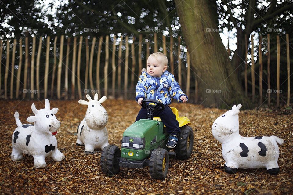 the little farmer