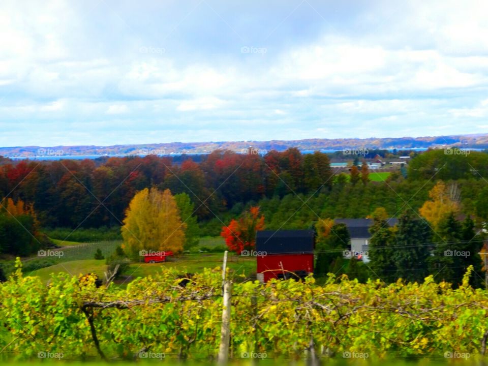 Gorgeous Traverse City Michigan