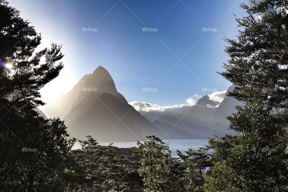 Milford Sounds Farewell