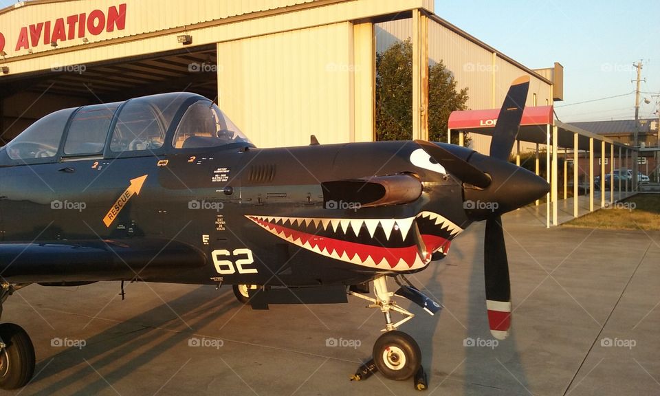 shark war plane