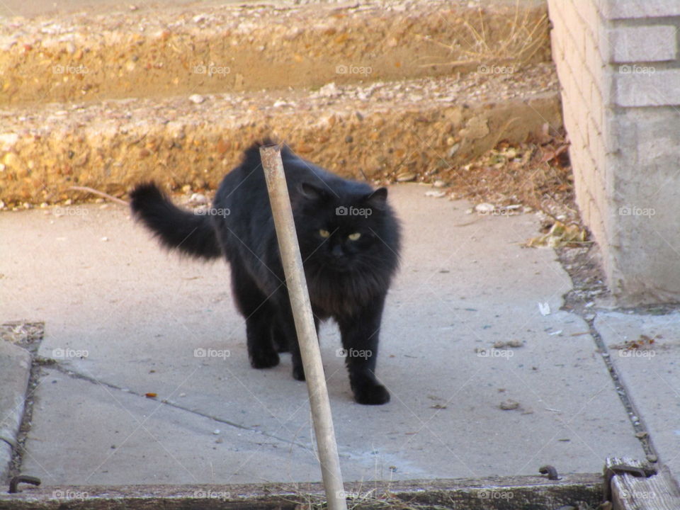 Don't ever cross with this evil spirit in front of you 