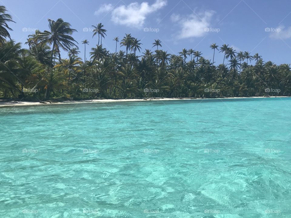 Arriving in paradise!