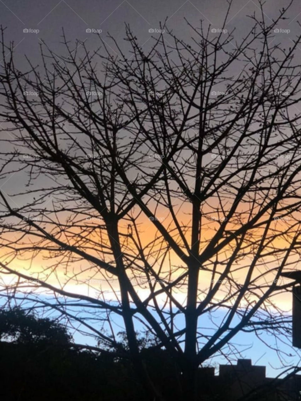 Nature love no filter 