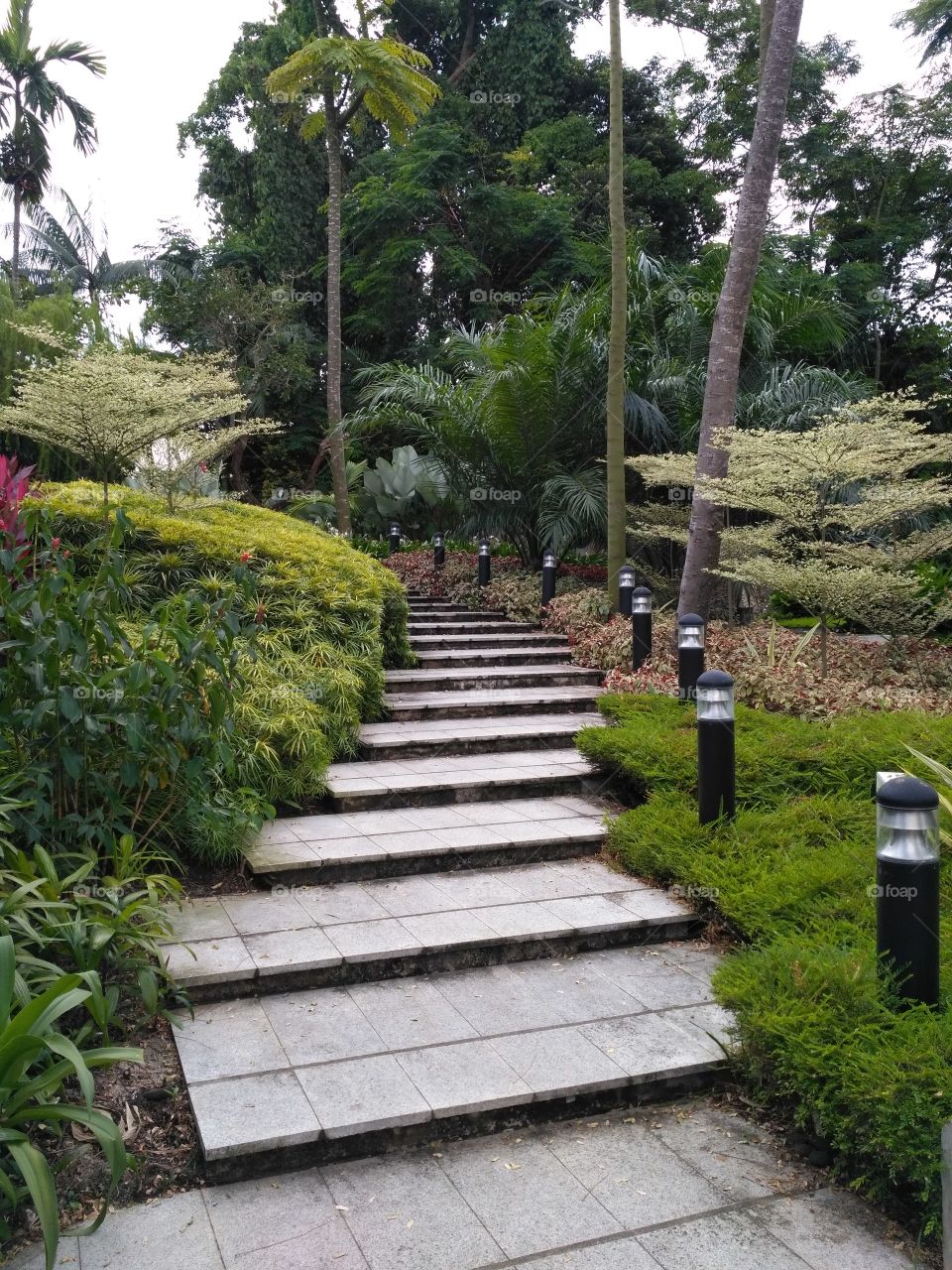 stairs to the rest