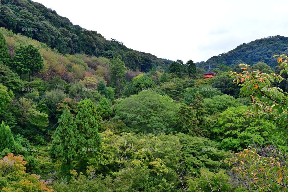 Japan's landscapes