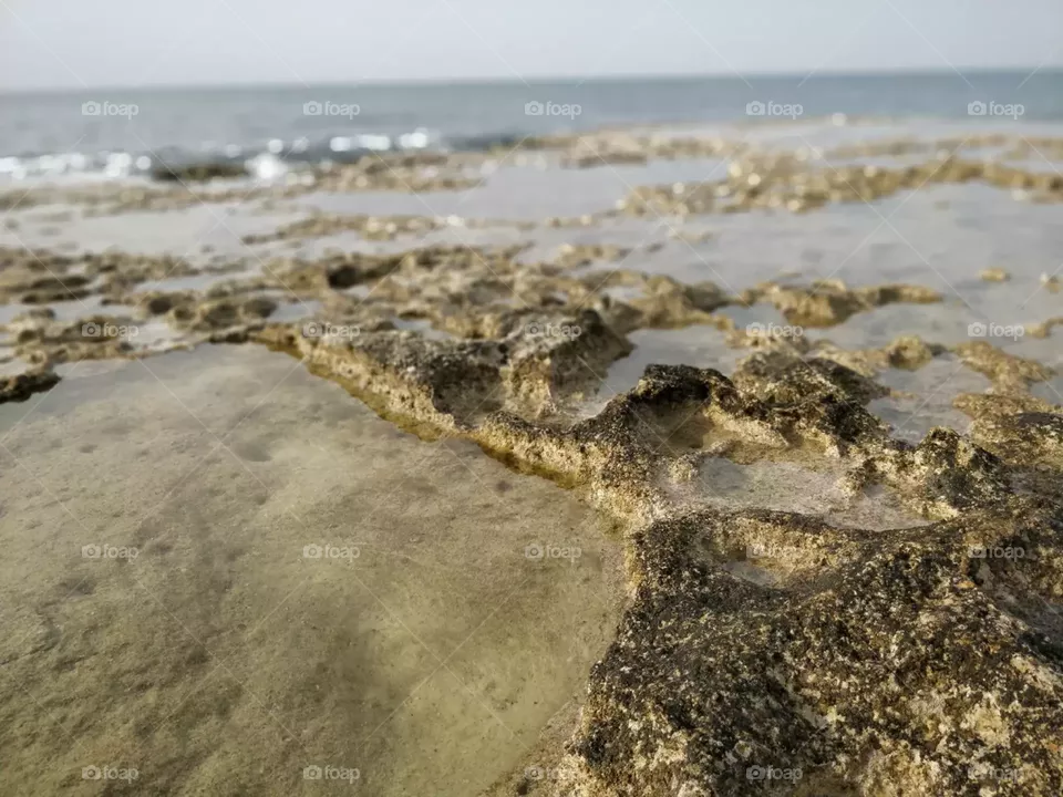 Sea