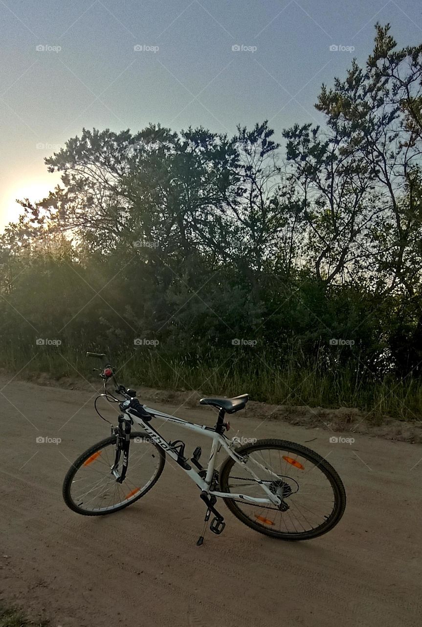 bike 🚲 on a rural road in sunlight sunset time