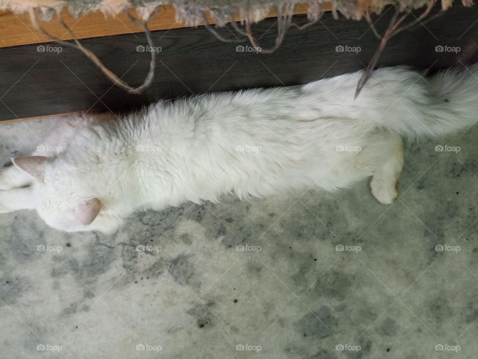 sleep😴😴😴😴