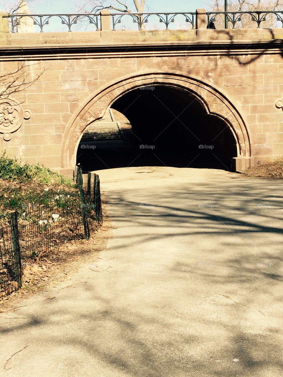 Tunnel. Tunnel in Central Park