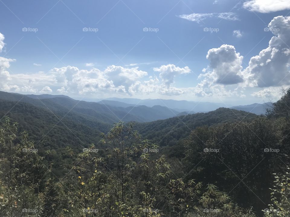 A peak into the hidden hills of the North Carolina Blue Ridge Parkway.