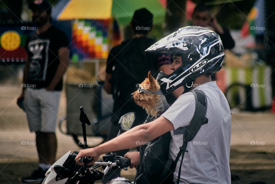 man carrying his dog on the motorcycle