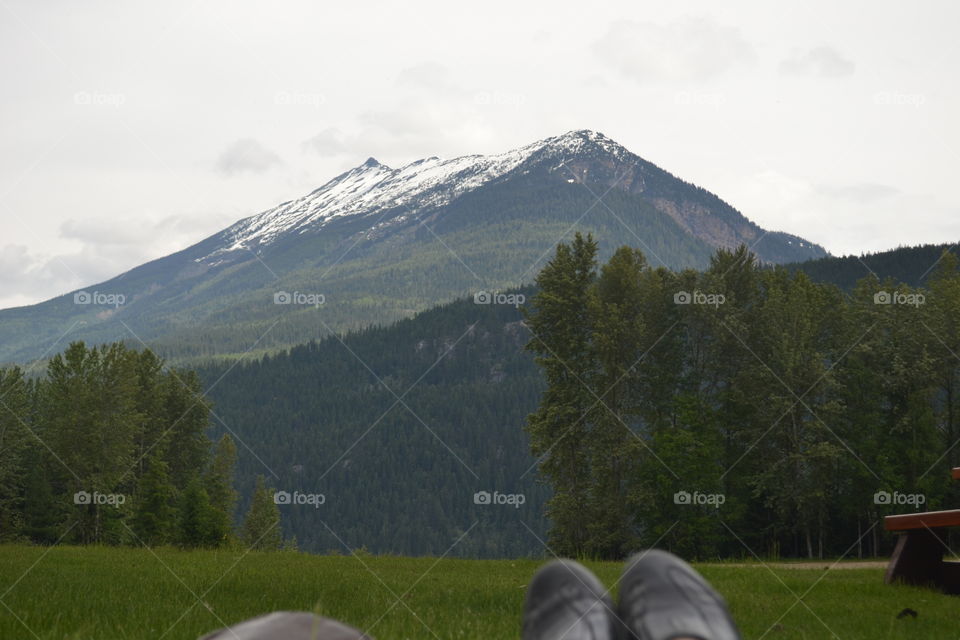 View of the Rocky Mountains from a meadow lake point of view 