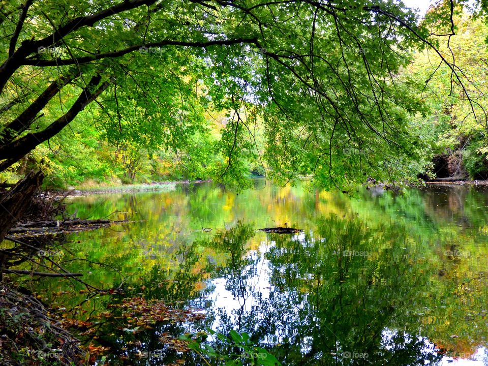 Beautiful fall on the river. 