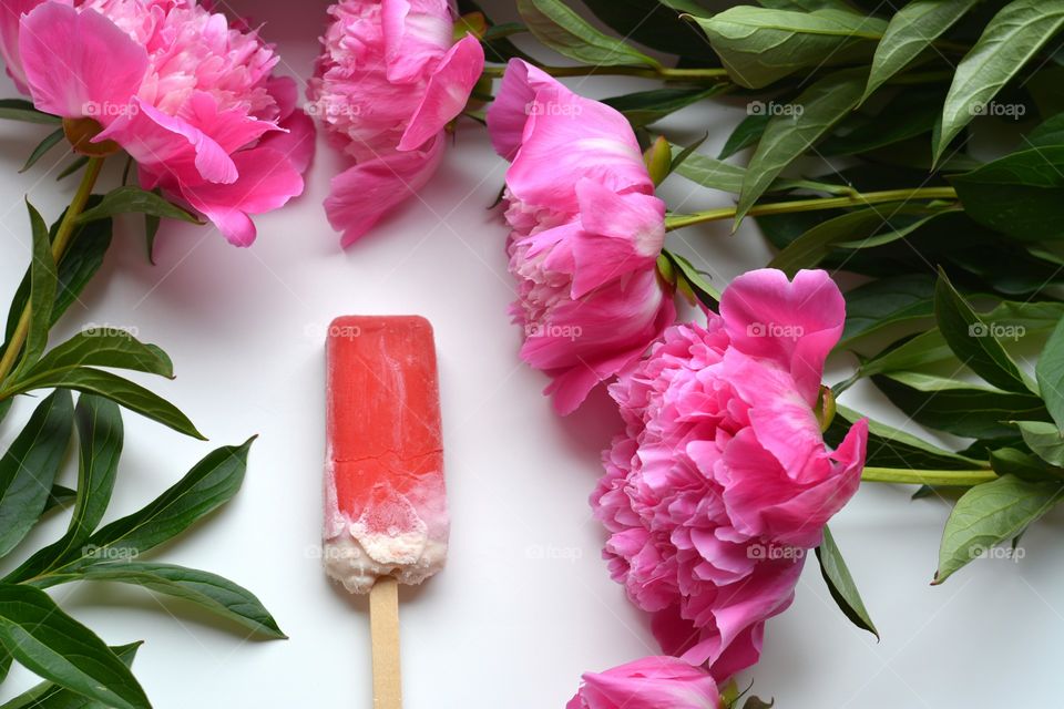 High angle view of flowers and ice cream