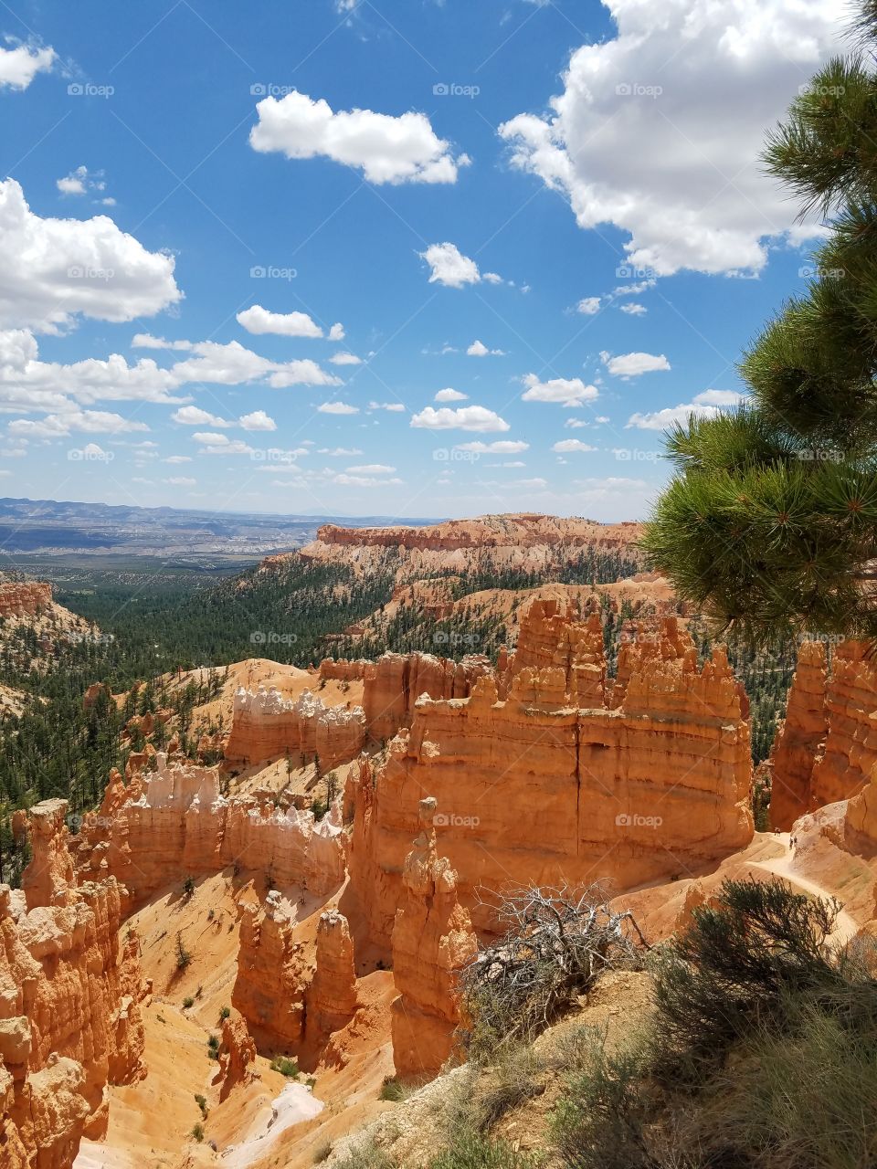 Bryce Canyon
