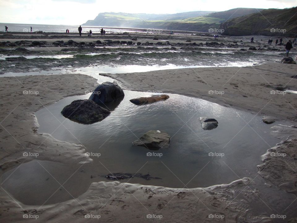 Rock Pool