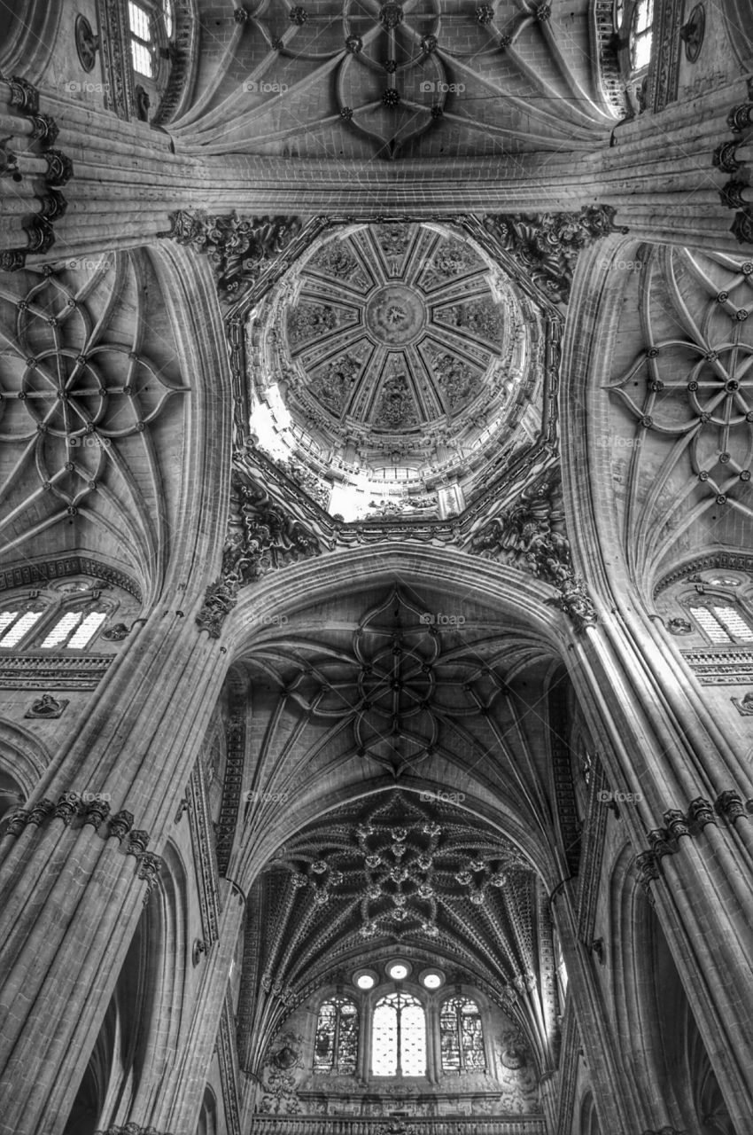 Vault. Salamanca cathedral, Spain