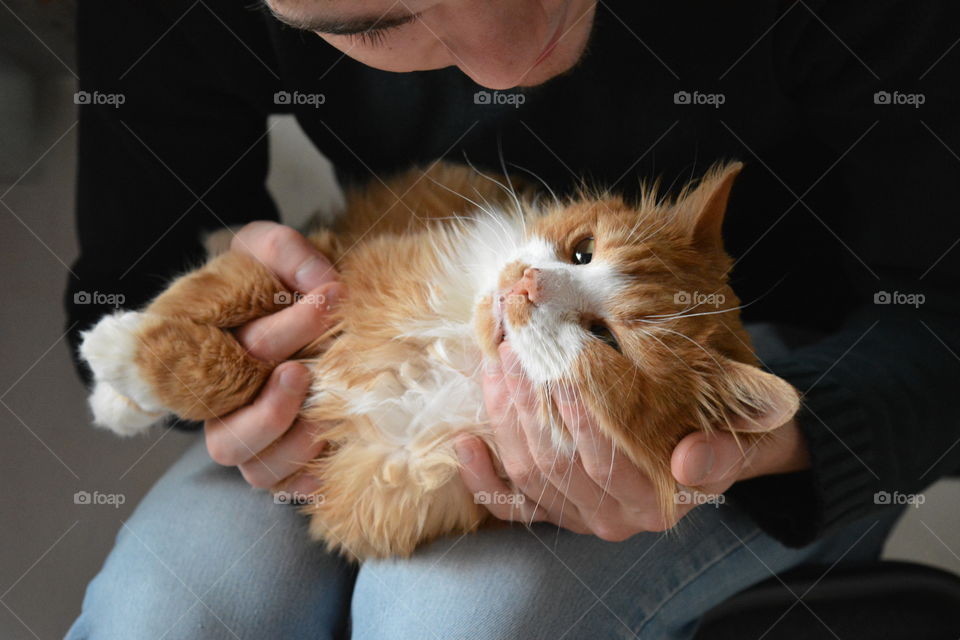 men and ginger cat family home relaxing, love pet