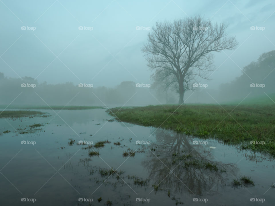 Scenic view of river in foggy day