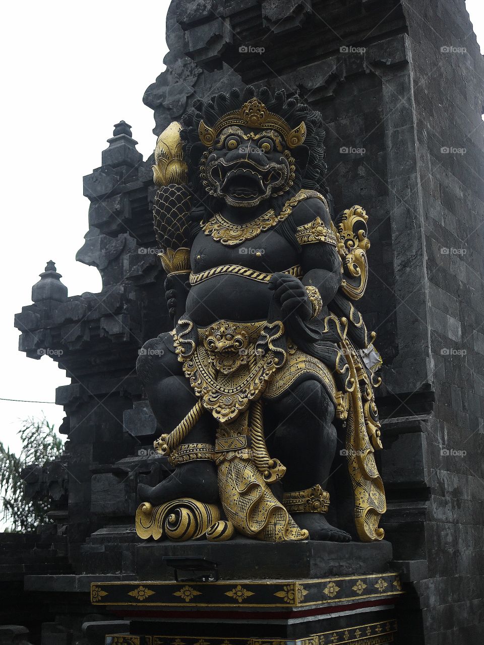 Bali guard