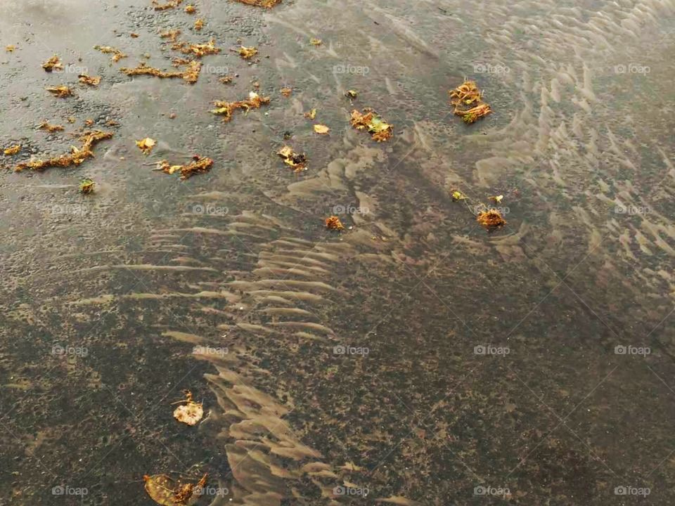 autumn rain reflection