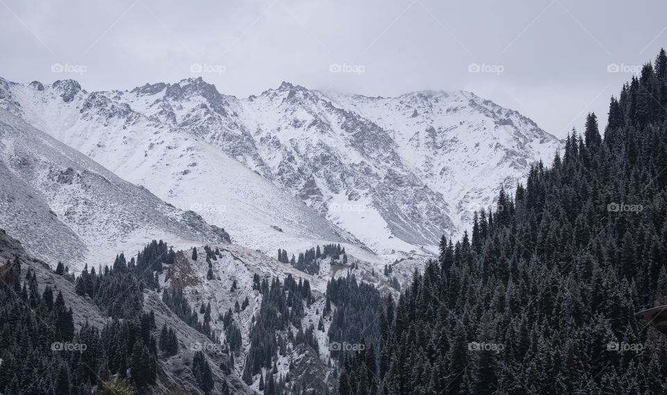 Beautiful scene of snow mountain and pine forest scape along the way to Big Almaty lake in Kazakhstan