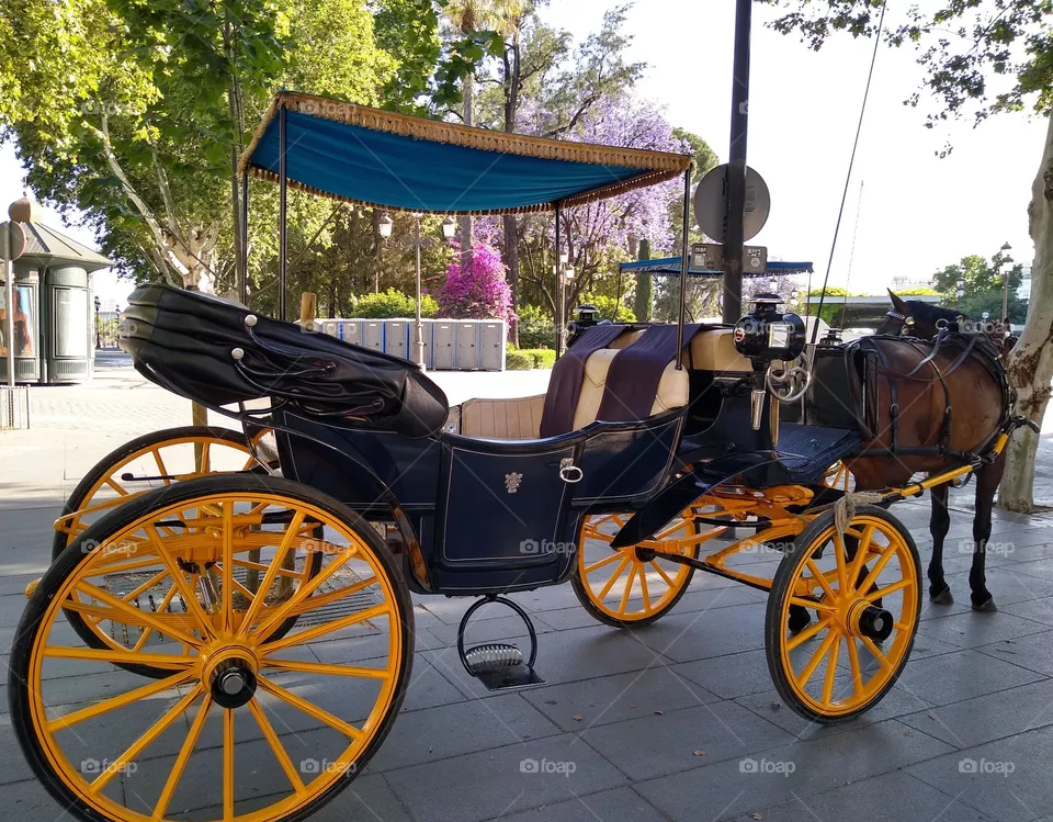 Carriage