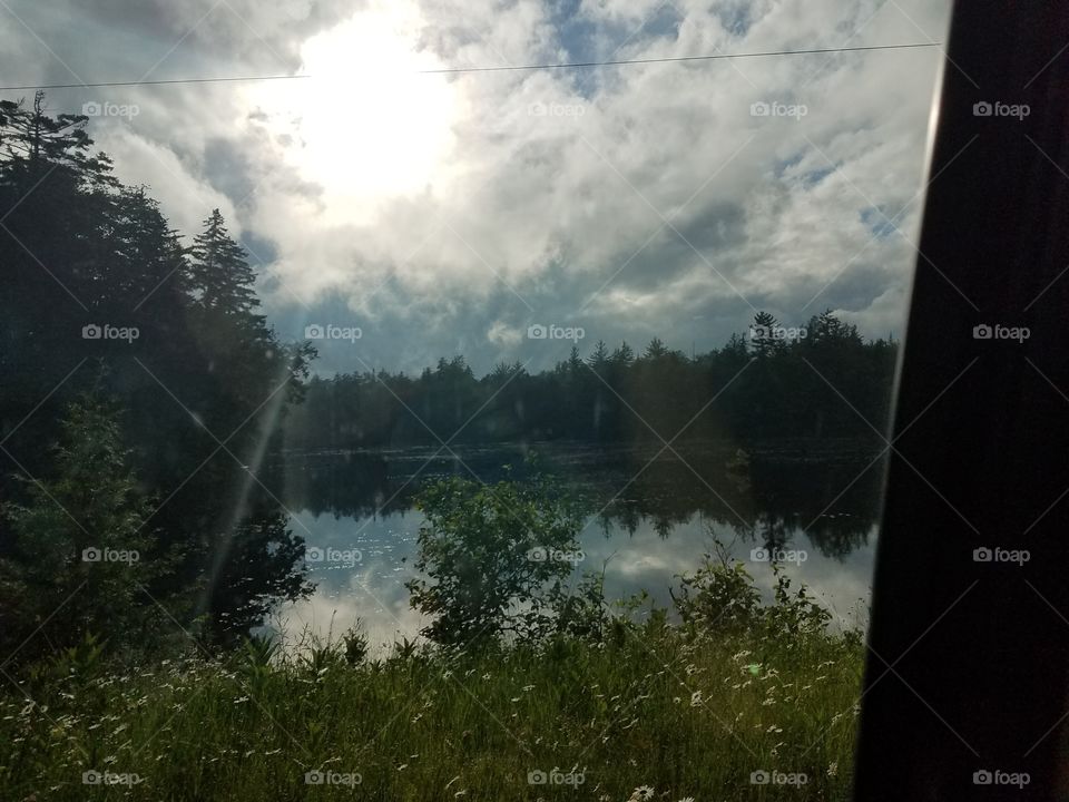 Landscape, Tree, Fog, River, Lake